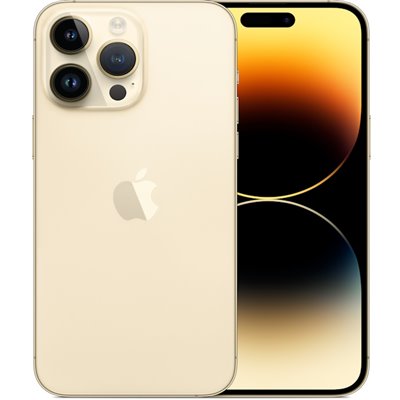 Apple iPhone Art.17 Apple iPhone 14 Pro 128GB Usato Grado A Gold