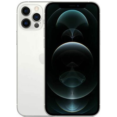 Apple iPhone Art.17 Apple iPhone 12 Pro 128GB Usato Grado A Silver