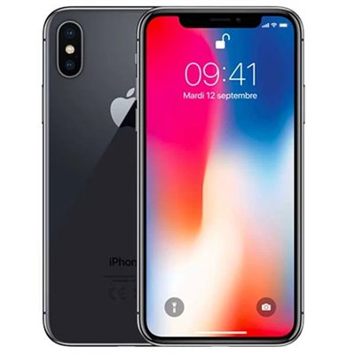 Apple iPhone Art.17 Apple iPhone X 256GB Usato Grado A Grigio Siderale